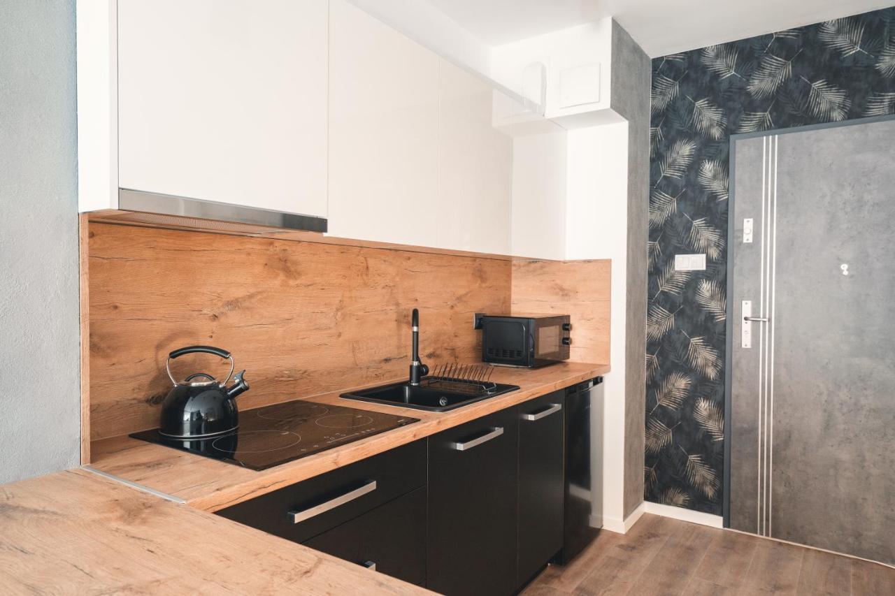 דירות Świeradów-Zdrój Apartament Nr 16 - Zrodlana 2 מראה חיצוני תמונה