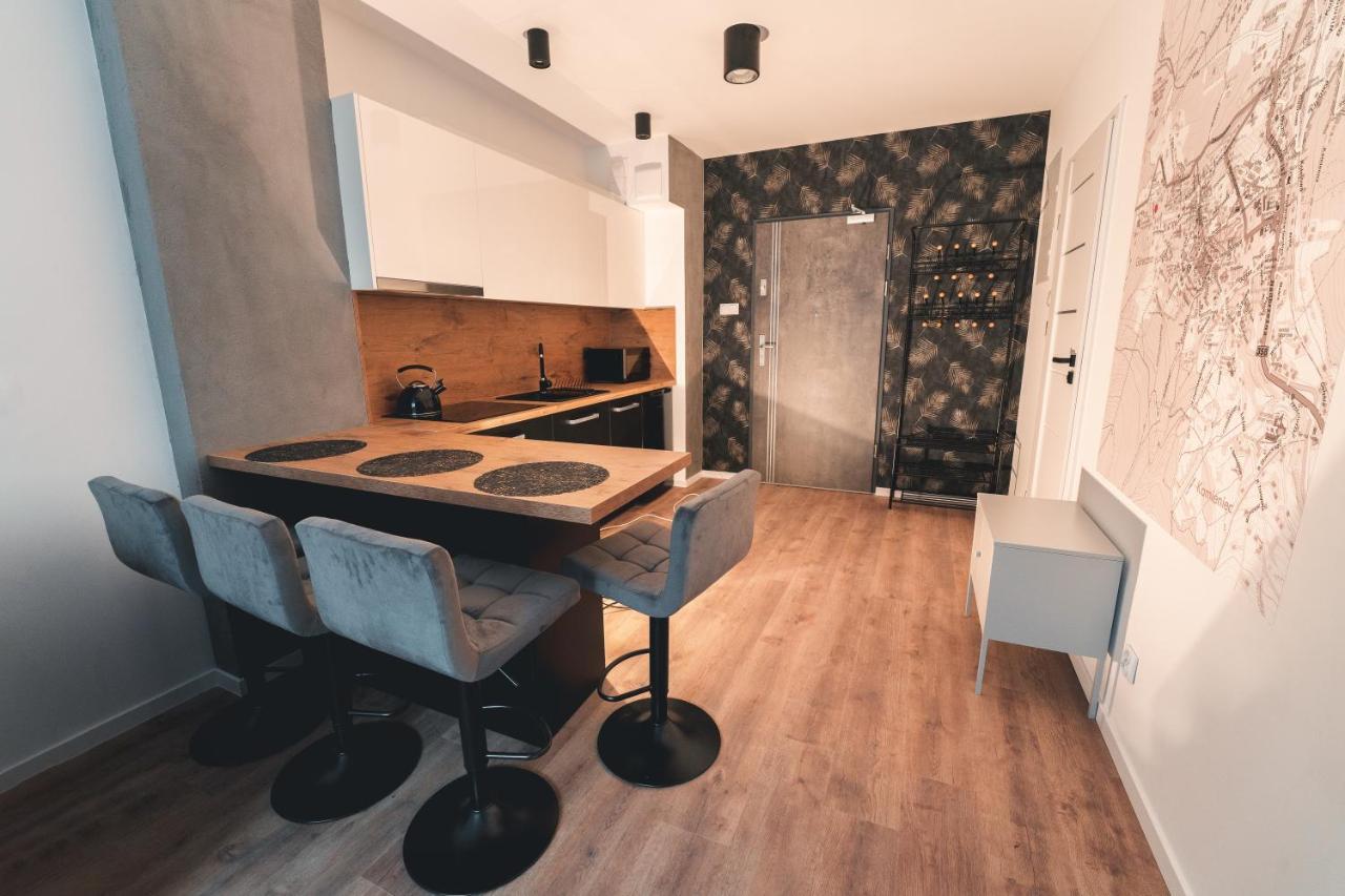 דירות Świeradów-Zdrój Apartament Nr 16 - Zrodlana 2 מראה חיצוני תמונה